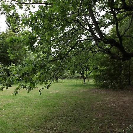 Agriturismo Tisignana